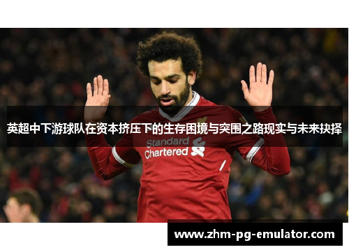英超中下游球队在资本挤压下的生存困境与突围之路现实与未来抉择